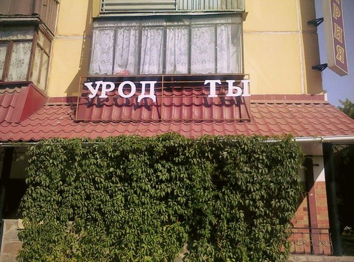 Забавные картинки