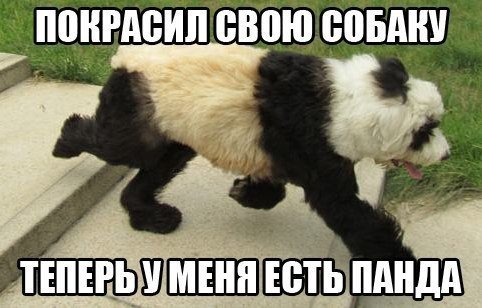 Забавные картинки