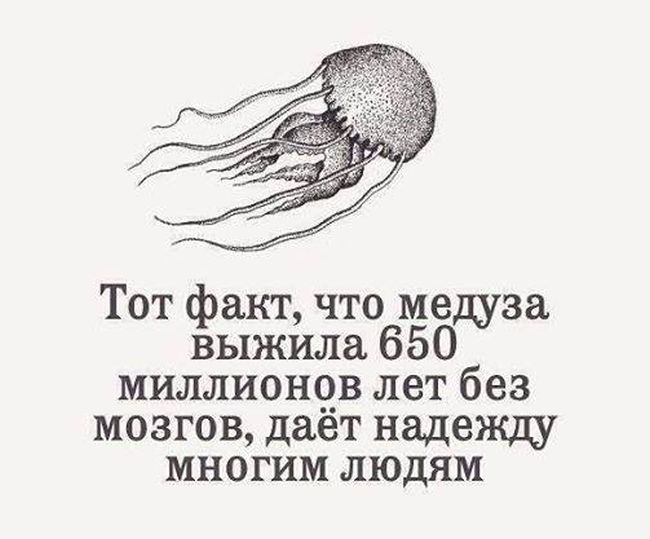 Прикольные картинки (99 фото)