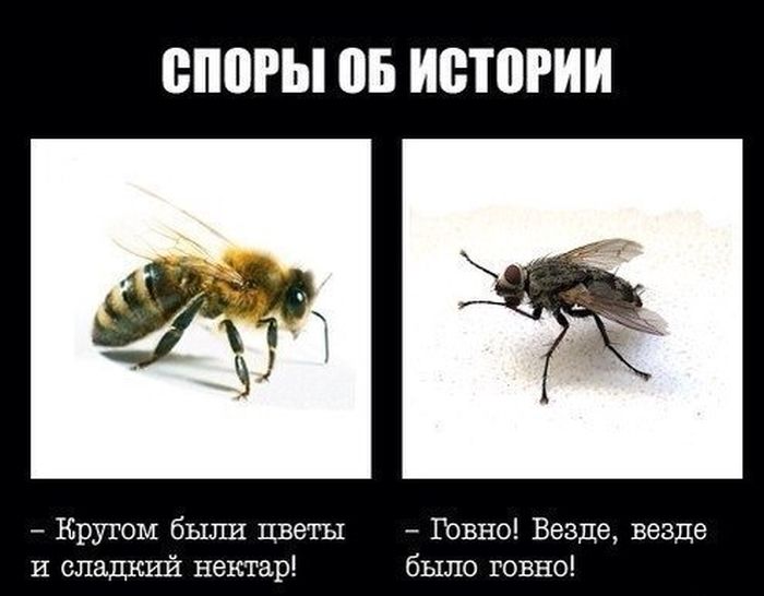 Прикольные картинки (93 фото)