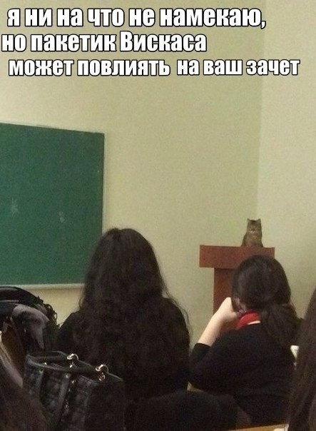 Прикольные картинки (93 фото)
