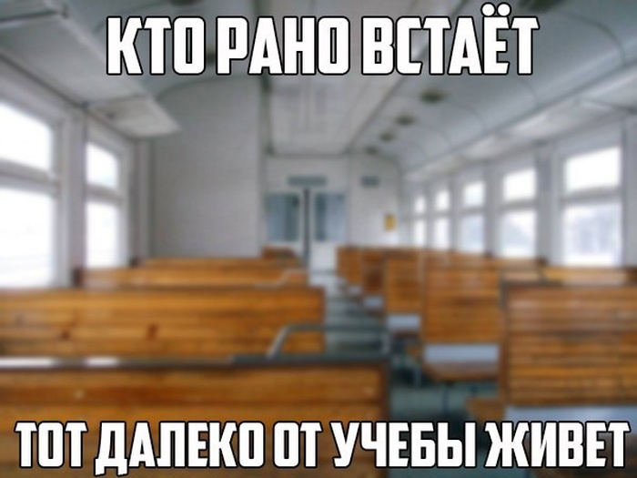 Прикольные картинки (93 фото)