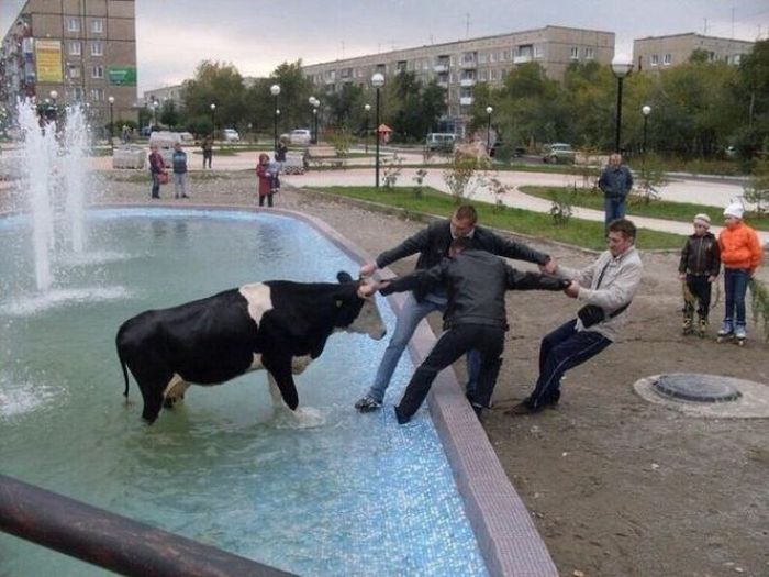 Прикольные картинки (93 фото)