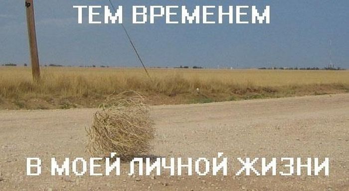 Прикольные картинки (93 фото)