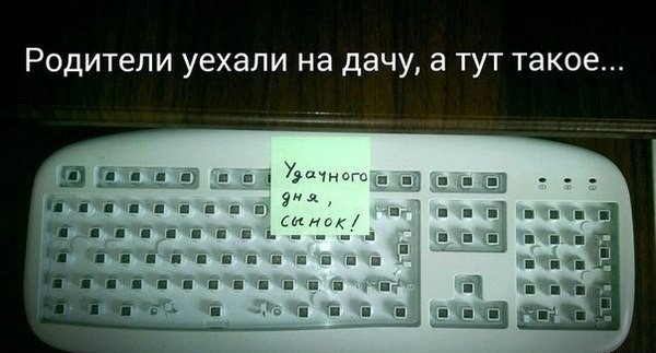 Забавные картинки