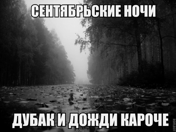 Прикольные картинки (105 фото)