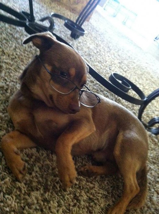 I'm sexy and I know it