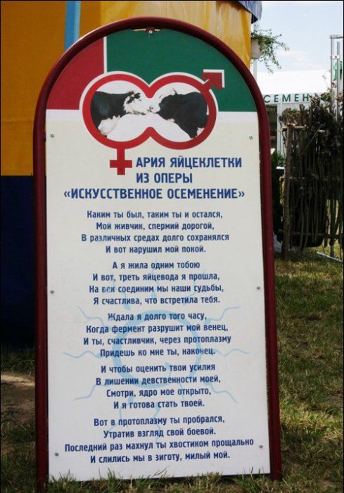 Прикольные картинки (98 фото)
