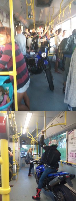 Прикольные картинки (87 фото)