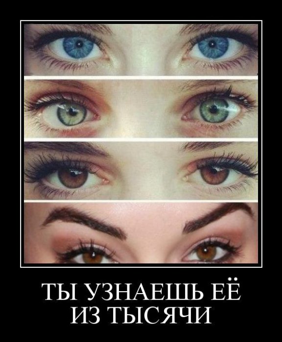 Ты узнаешь её из тысячи