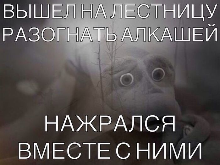 Забавные картинки