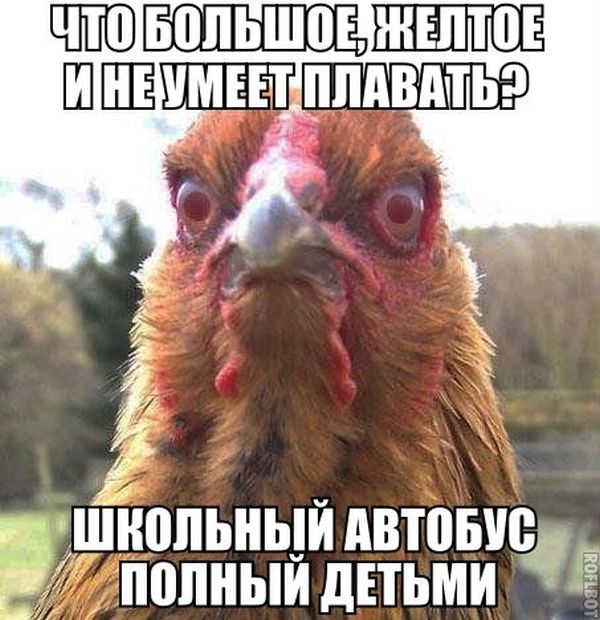 Забавные картинки