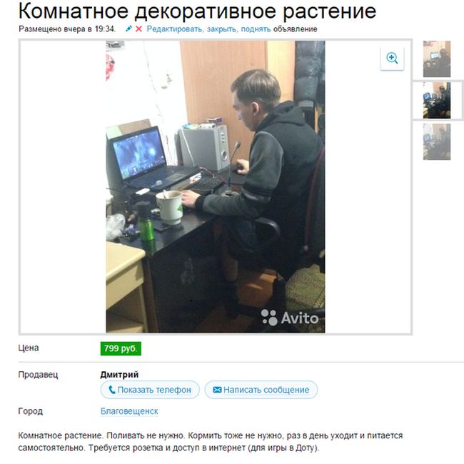 Прикольные картинки (76 фото)