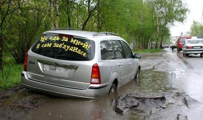 Прикольные картинки (76 фото)