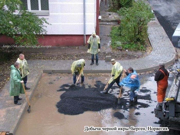 Прикольные картинки (76 фото)
