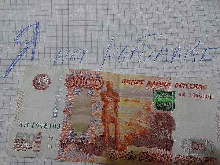 Прикольные картинки (80 фото)