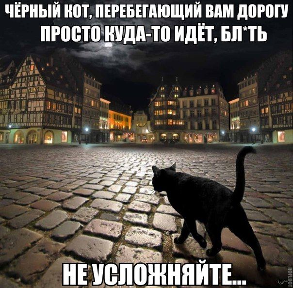 Прикольные картинки (80 фото)