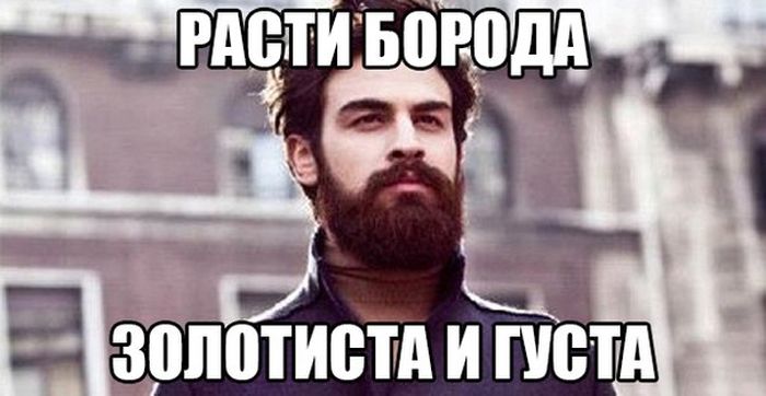 Прикольные картинки (80 фото)