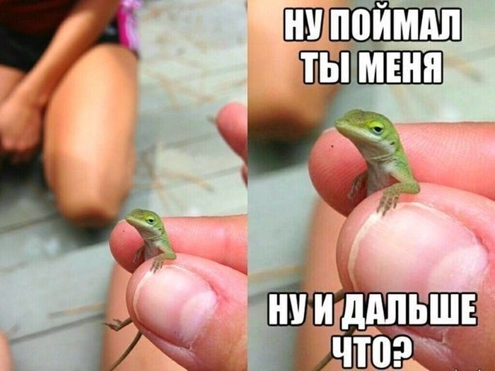 Прикольные картинки (82 фото)