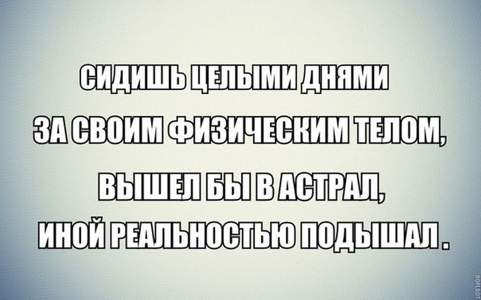 Прикольные картинки (82 фото)