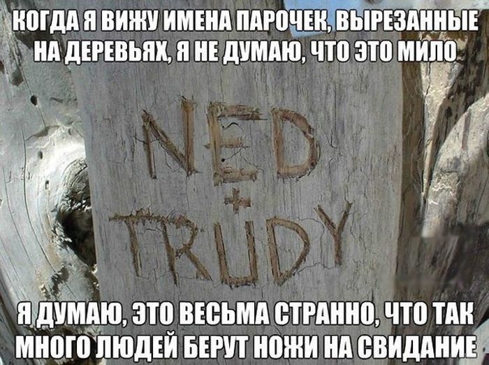 Прикольные картинки (84 фото)