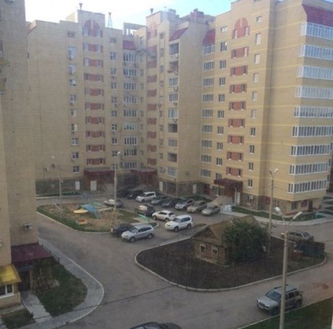 Прикольные картинки (84 фото)