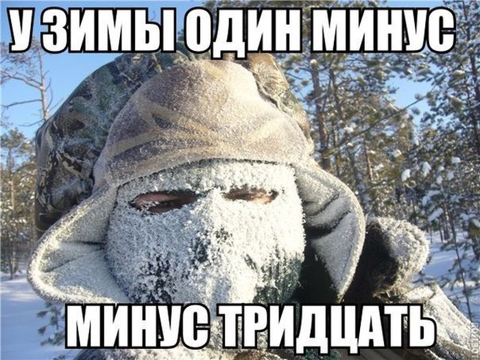 Прикольные картинки (84 фото)