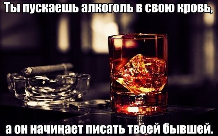 Прикольные картинки (84 фото)
