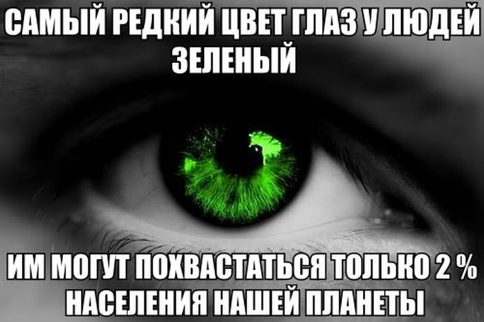 Прикольные картинки (84 фото)