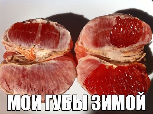 Прикольные картинки (84 фото)