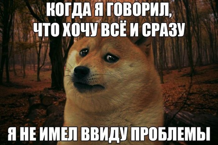Прикольные картинки (76 фото)