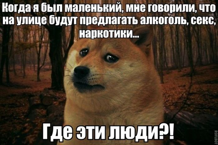 Прикольные картинки (76 фото)