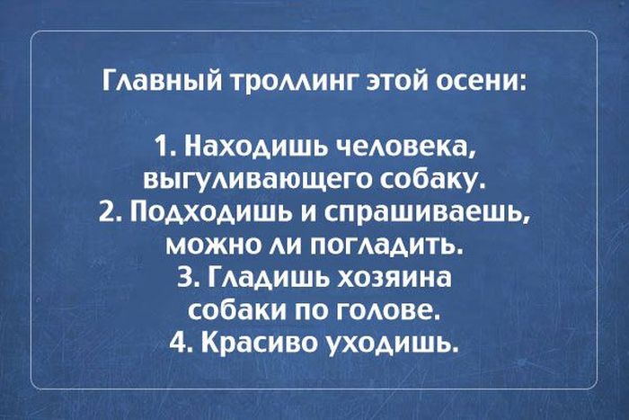 Прикольные картинки (76 фото)