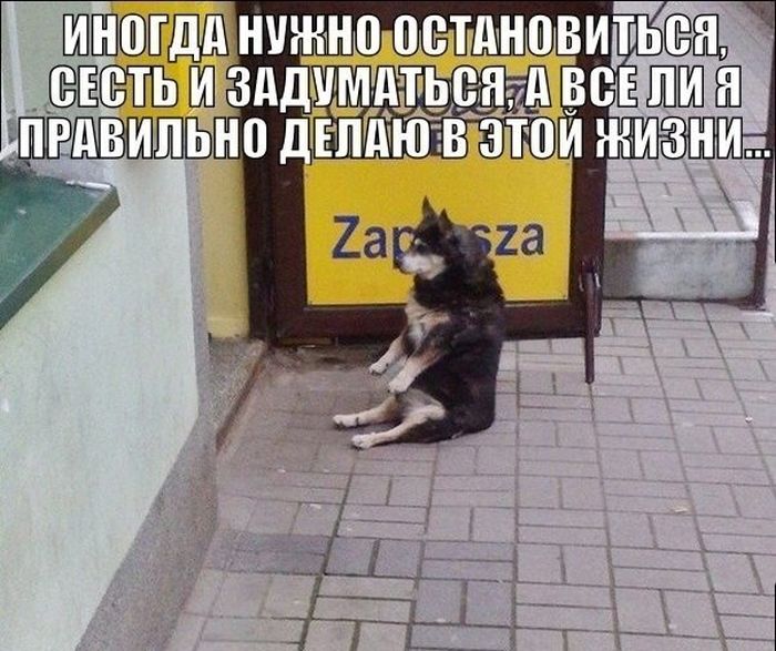Прикольные картинки (76 фото)