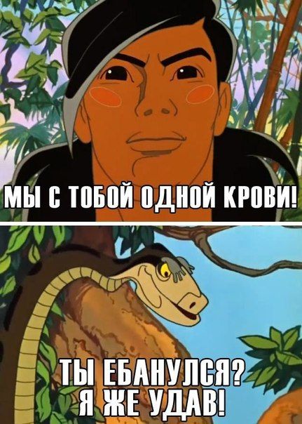 Прикольные картинки (76 фото)
