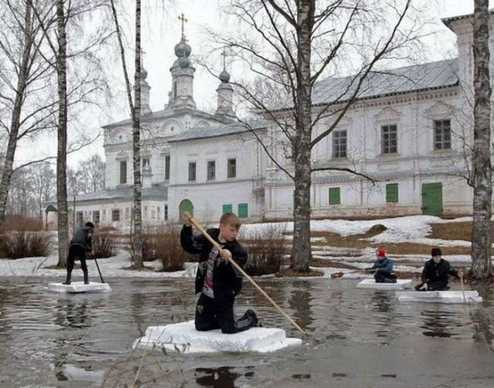 Прикольные картинки (75 фото)
