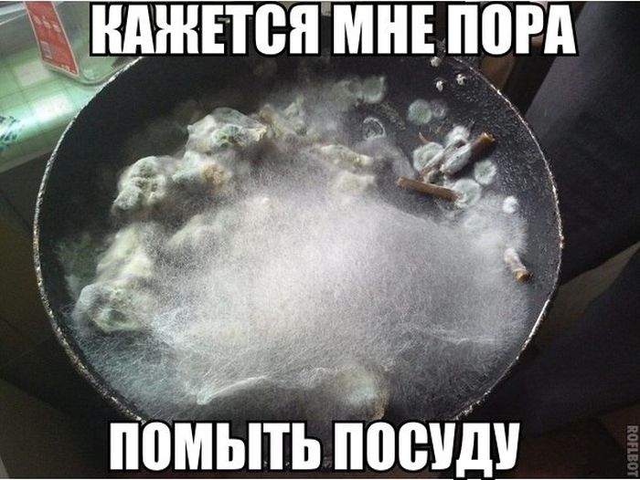 Прикольные картинки (75 фото)