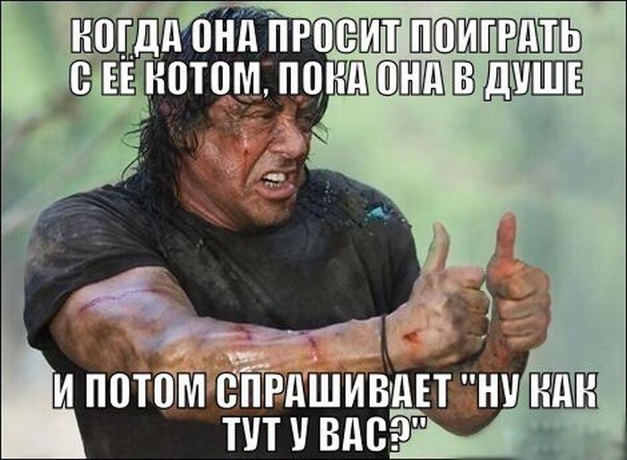 Забавные картинки