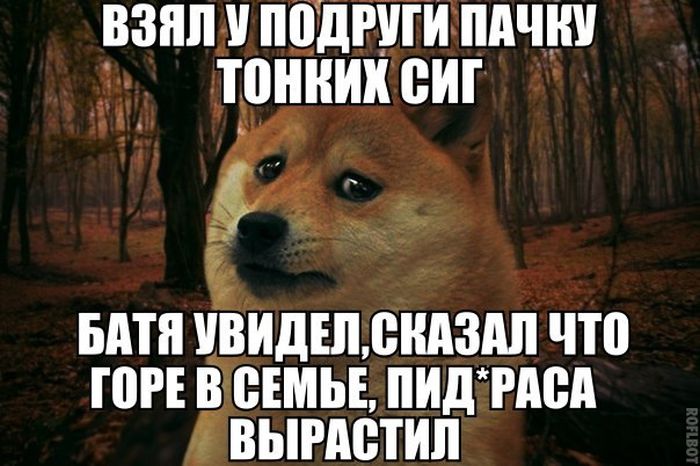 Забавные картинки