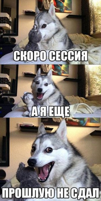Прикольные картинки (82 фото)