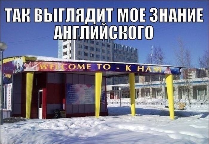 Забавные картинки