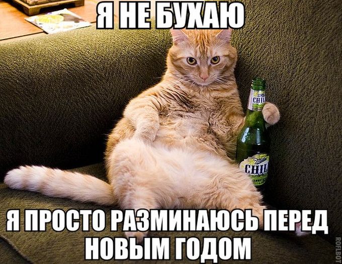 Прикольные картинки (81 фото)