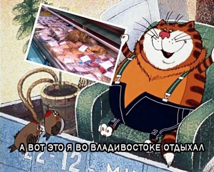 Прикольные картинки (81 фото)