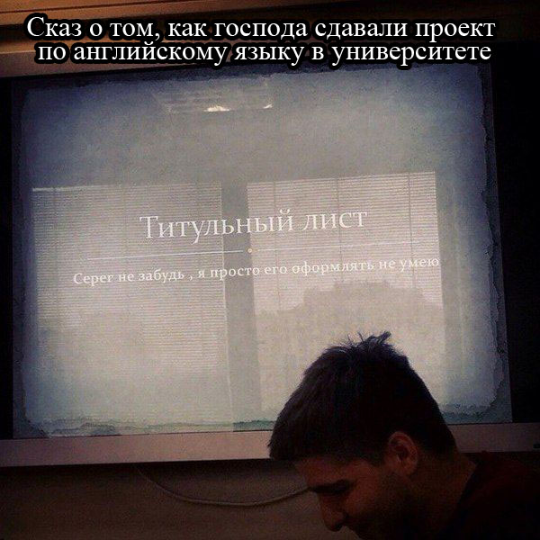 Забавные картинки