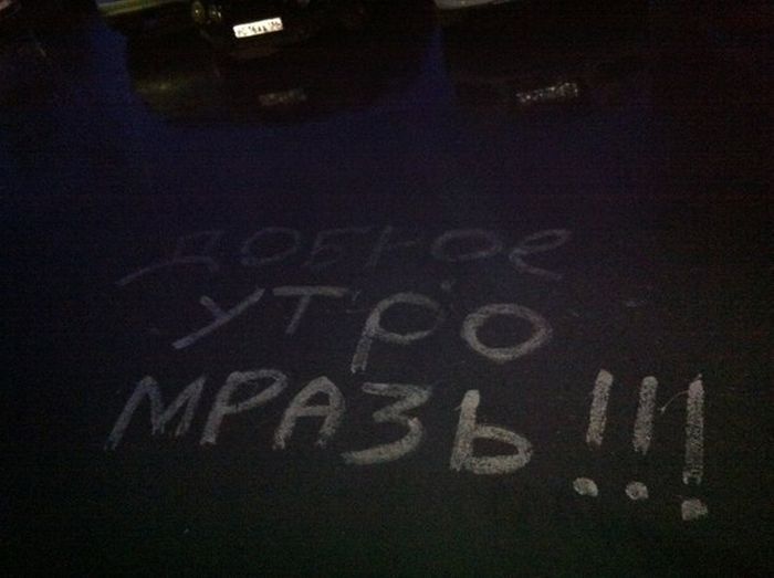 Забавные картинки
