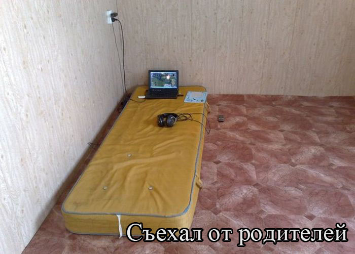Забавные картинки