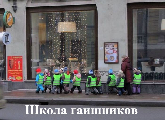 Забавные картинки