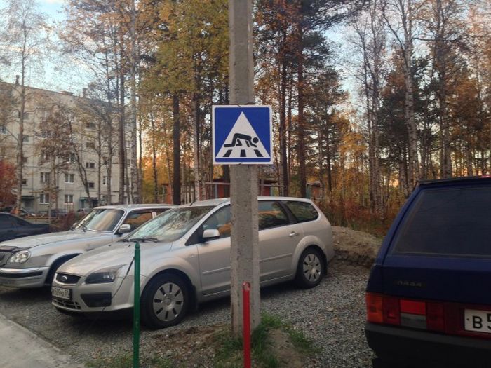 Забавные картинки