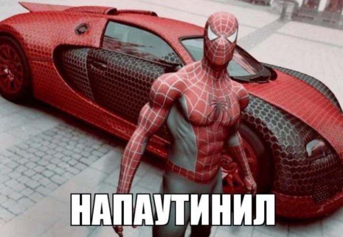 Забавные картинки