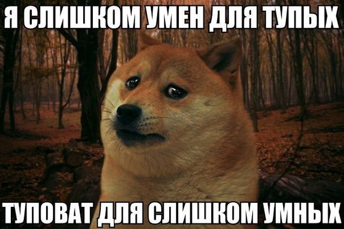 Забавные картинки